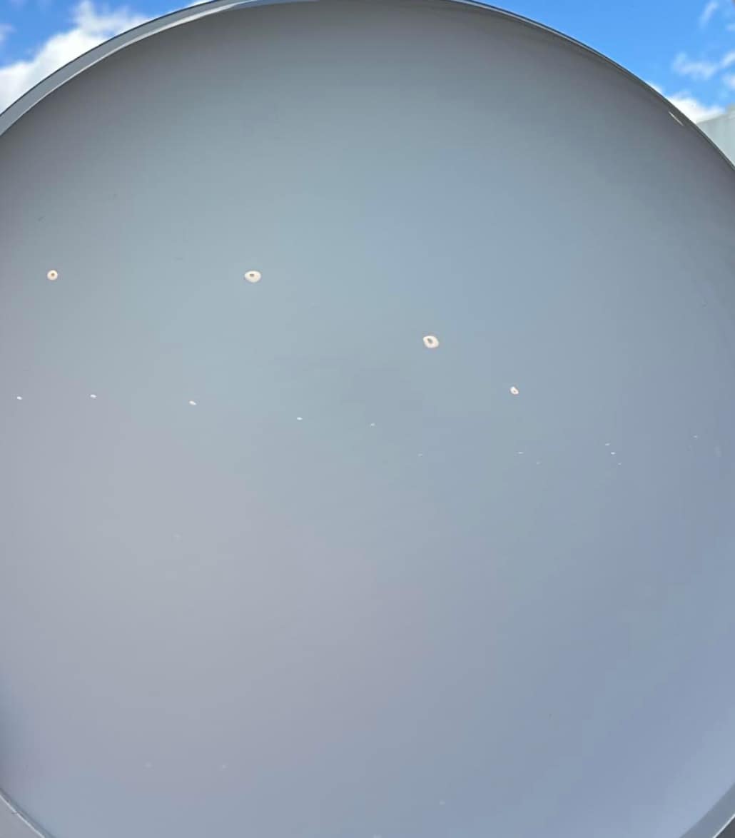 frosted softlight dome series