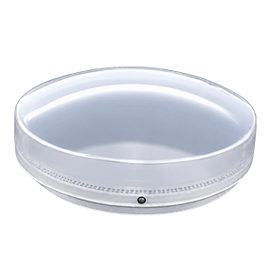 skylight dome replacement high profile