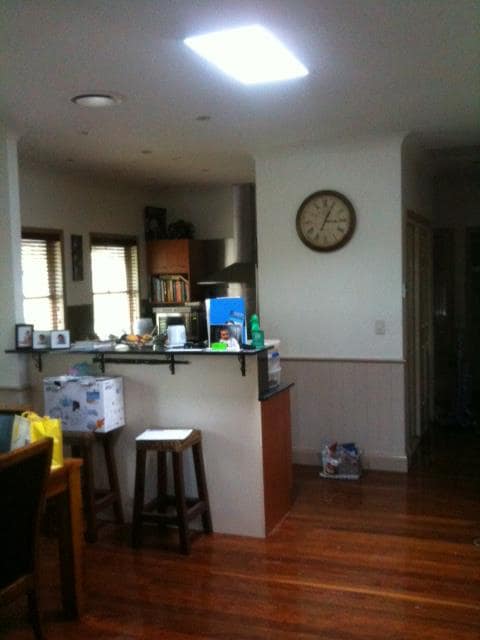 Roof Skylights